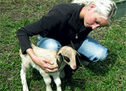 Arbeit auf dem Naturhof - Spaß für Groß und Klein